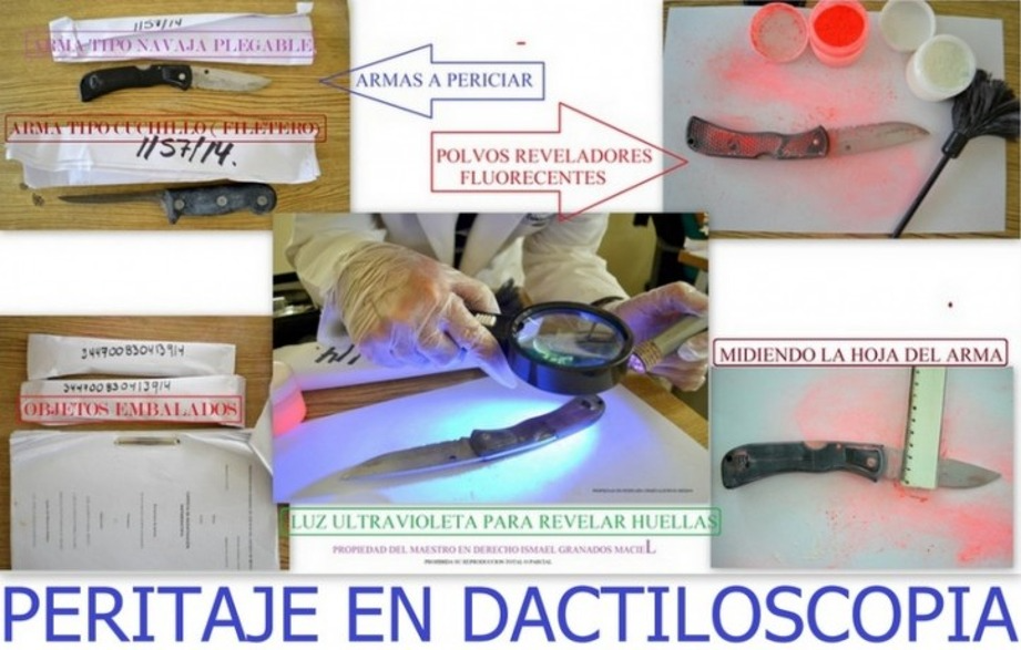 Peritaje en Dactiloscopía